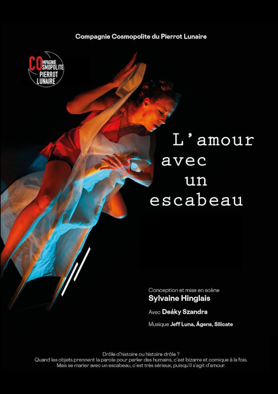 Affiche du spectacle "L'Amour avec un escabeau"